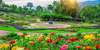 Top 5 Famous Flower Gardens In Bangalore